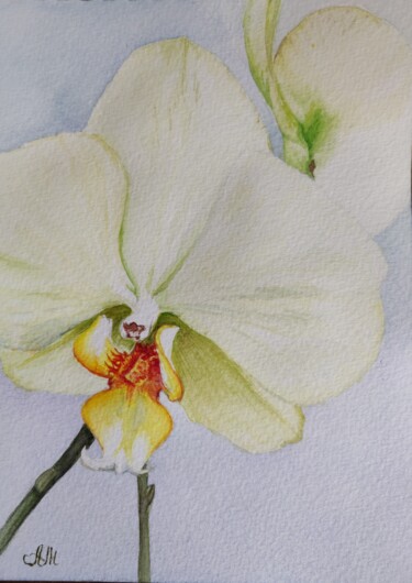 Peinture intitulée "Green orchid" par Anna Malyshko, Œuvre d'art originale, Aquarelle