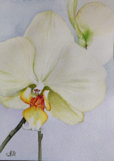 Painting titled "Green orchid" by Anna Malyshko, Original Artwork, Watercolor