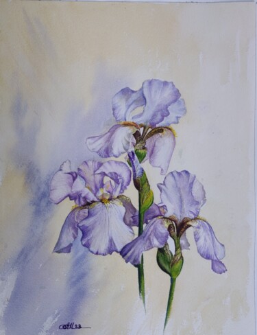 Painting titled "IRIS" by Anna Malyshko, Original Artwork, Watercolor