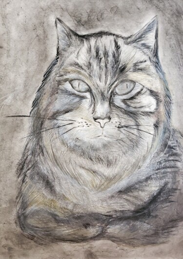 Картина под названием "Дебела котка" - Anna Mytavska (Cabrerra), Подлинное произведение искусства, Пастель
