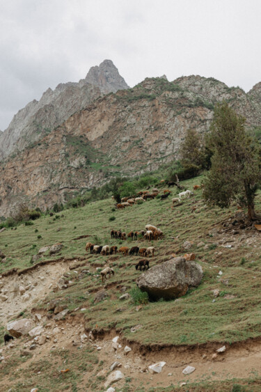 Fotografie mit dem Titel "Pastoral Peaks" von Anna Ril, Original-Kunstwerk, Digitale Fotografie