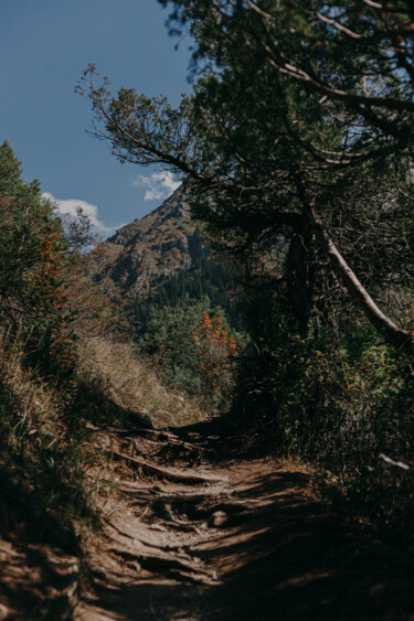 Fotografie getiteld "Mountain trail" door Anna Ril, Origineel Kunstwerk, Digitale fotografie