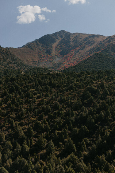 Фотография под названием "Lonely Mountain" - Anna Ril, Подлинное произведение искусства, Цифровая фотография
