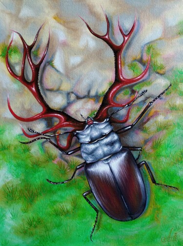 Painting titled "Deer beetle" by Anna Shabalova, Original Artwork, Oil Mounted on Cardboard