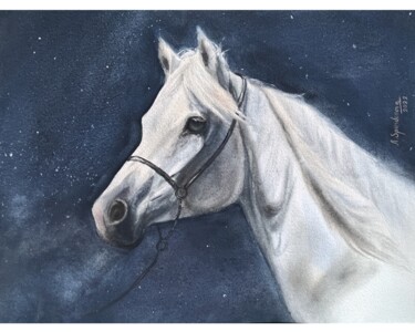 Painting titled "Grey Arabian horse" by Anna Spiridonova, Original Artwork, Watercolor