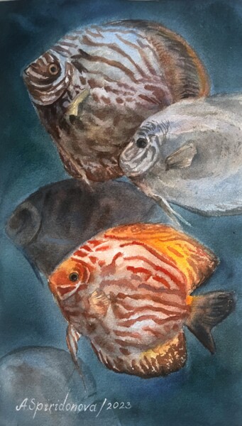 Malerei mit dem Titel "Discus fish" von Anna Spiridonova, Original-Kunstwerk, Aquarell