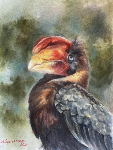 Painting titled "Rufous hornbill" by Anna Spiridonova, Original Artwork, Watercolor