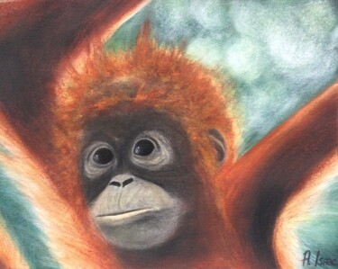 Картина под названием "Orangutan" - Anna Isaac, Подлинное произведение искусства, Пастель Установлен на плексиглас