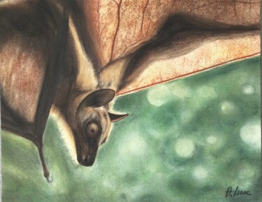 Schilderij getiteld "Fruit bat" door Anna Isaac, Origineel Kunstwerk, Pastel Gemonteerd op Karton