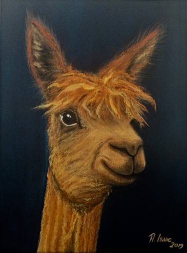 Painting titled "Alpaca" by Anna Isaac, Original Artwork, Pastel Mounted on Plexiglass