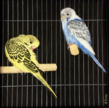 Painting titled "Budgies" by Anna Isaac, Original Artwork, Pastel Mounted on Glass