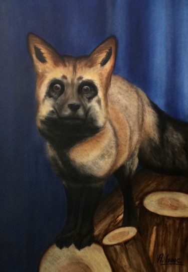 Pintura intitulada "Black-legged fox (t…" por Anna Isaac, Obras de arte originais, Pastel Montado em Plexiglass