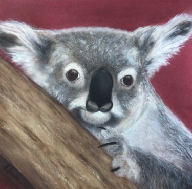 Malerei mit dem Titel "Koala" von Anna Isaac, Original-Kunstwerk, Pastell Auf Glas montiert