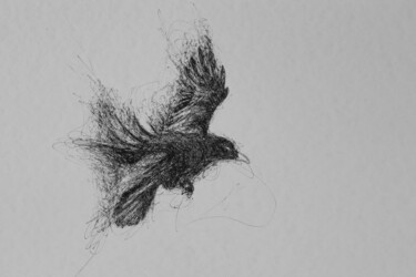 Rysunek zatytułowany „Oiseau 1” autorstwa Annabel Klein, Oryginalna praca, Atrament