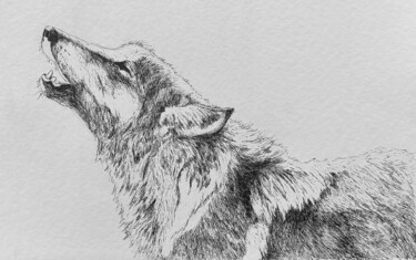 Rysunek zatytułowany „Howling wolf” autorstwa Annabel Klein, Oryginalna praca, Atrament