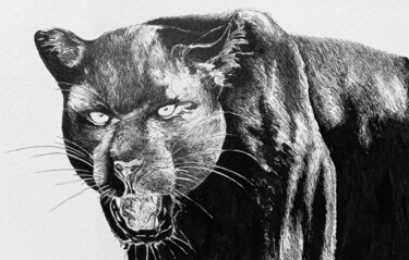 제목이 "Panthère noire 2"인 그림 Annabel Klein로, 원작, 잉크