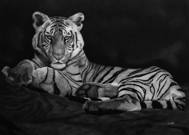 Dessin intitulée "Wild Tiger" par Annabel, Œuvre d'art originale, Crayon