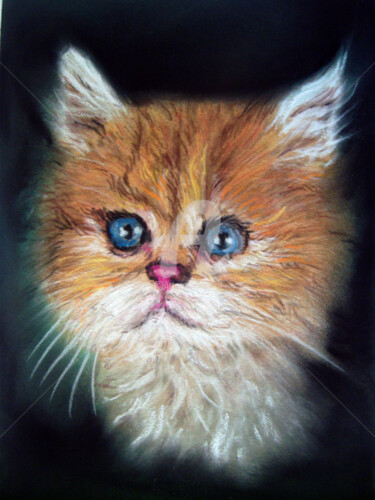 Painting titled "Chat" by Anna Amini, Original Artwork, Pastel