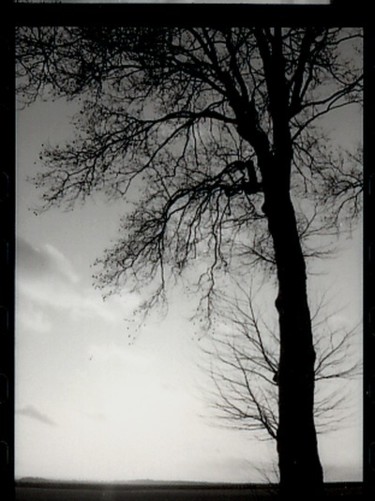 Photographie intitulée "photohiver1.jpg" par Annabelle Lavigne, Œuvre d'art originale