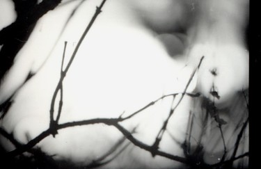 Photographie intitulée "photohiver6.jpg" par Annabelle Lavigne, Œuvre d'art originale