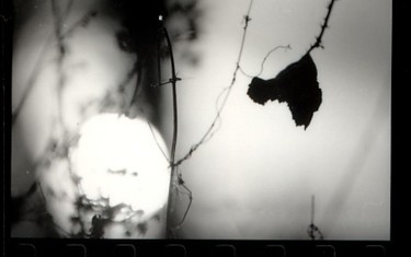 Photographie intitulée "photohiver13.jpg" par Annabelle Lavigne, Œuvre d'art originale