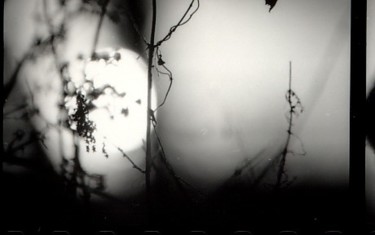 Photographie intitulée "photohiver16.jpg" par Annabelle Lavigne, Œuvre d'art originale
