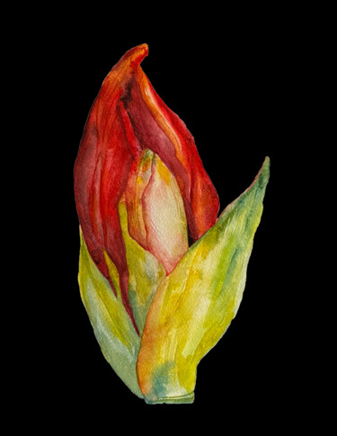 Malerei mit dem Titel "Botanical Artwork N…" von Anna Lyashenko, Original-Kunstwerk, Aquarell