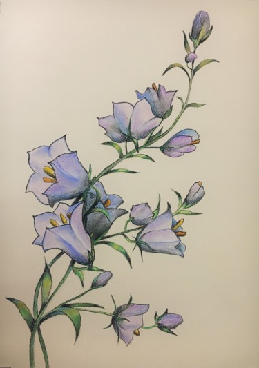 Peinture intitulée "Blue Bell Flowers" par Hanna Taranishyna, Œuvre d'art originale, Pastel