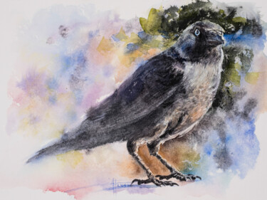 Painting titled ""Jackdaw" - Origina…" by Anna Ivanova, Original Artwork, Watercolor