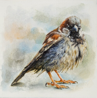 绘画 标题为“"Sparrow" - Origina…” 由Anna Ivanova, 原创艺术品, 水彩