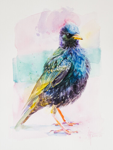 Painting titled ""Common Starling" -…" by Anna Ivanova, Original Artwork, Watercolor