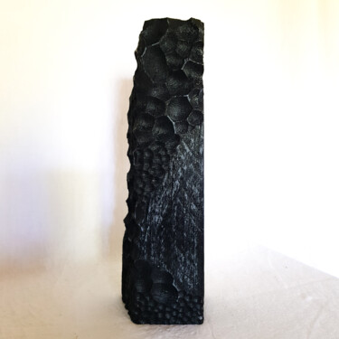 Sculpture titled "Néolithic'" by Annbo, Original Artwork, Wood