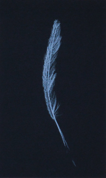 Peinture intitulée "Plume 3" par Anne B, Œuvre d'art originale