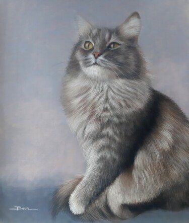 Dessin intitulée "Chat gris" par Anne Bour, Œuvre d'art originale, Pastel