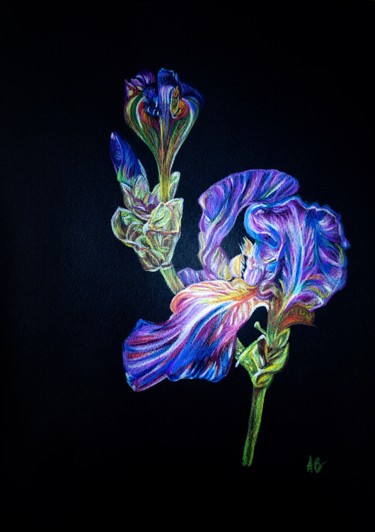 Ζωγραφική με τίτλο "Iris crayonnés" από Anne Brigaud, Αυθεντικά έργα τέχνης