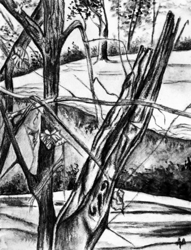 Pittura intitolato "Forêt noire" da Anne Brigaud, Opera d'arte originale, Grafite