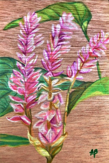 Peinture intitulée "Fleurs pâles" par Anne Brigaud, Œuvre d'art originale, Crayon