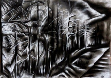 Painting titled "Forêt noire et blan…" by Anne Brigaud, Original Artwork, Charcoal