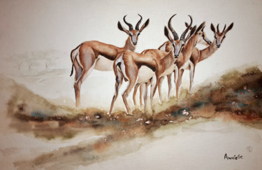 Painting titled "Springbok" by Anniegc, Original Artwork