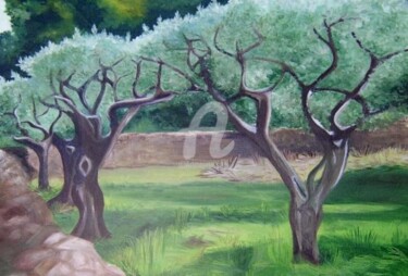 Peinture intitulée "champs d'oliviers" par Anne Dahirel, Œuvre d'art originale