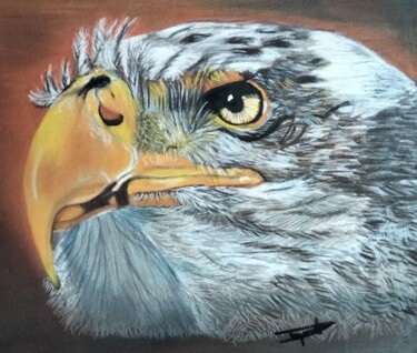 Рисунок под названием "Eagle" - Anne Degremont, Подлинное произведение искусства, Пастель