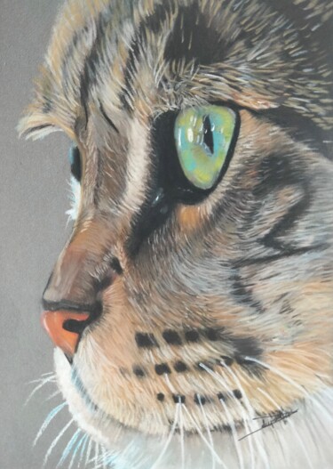 Desenho intitulada "Regard chat I" por Anne Degremont, Obras de arte originais, Pastel