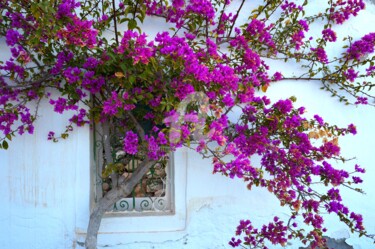 Photography titled "Le bonheur à l'ombr…" by Anne D'Orion, Original Artwork