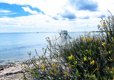 Photographie intitulée "Îlot de grand calme" par Anne D'Orion, Œuvre d'art originale, Photographie non manipulée