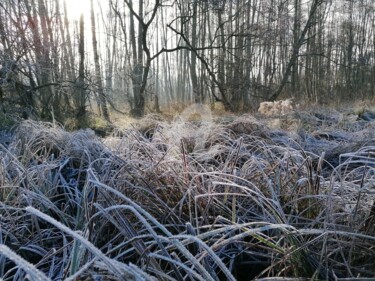 Photographie intitulée "L'aube hivernal" par Anne D'Orion, Œuvre d'art originale, Photographie numérique