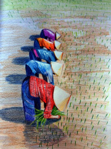 Dessin intitulée "echines-courbees.jpg" par Anne D'Orion, Œuvre d'art originale, Crayon