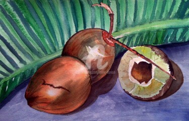 Peinture intitulée "Noix de coco des an…" par Anne D'Orion, Œuvre d'art originale, Aquarelle
