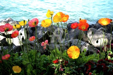Photographie intitulée "Roches en fleur" par Anne D'Orion, Œuvre d'art originale