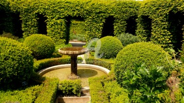 Fotografia intitulada "Un jardin zen" por Anne D'Orion, Obras de arte originais