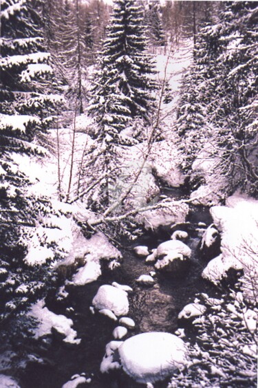 Photography titled "Cascade d'hiver" by Anne D'Orion, Original Artwork